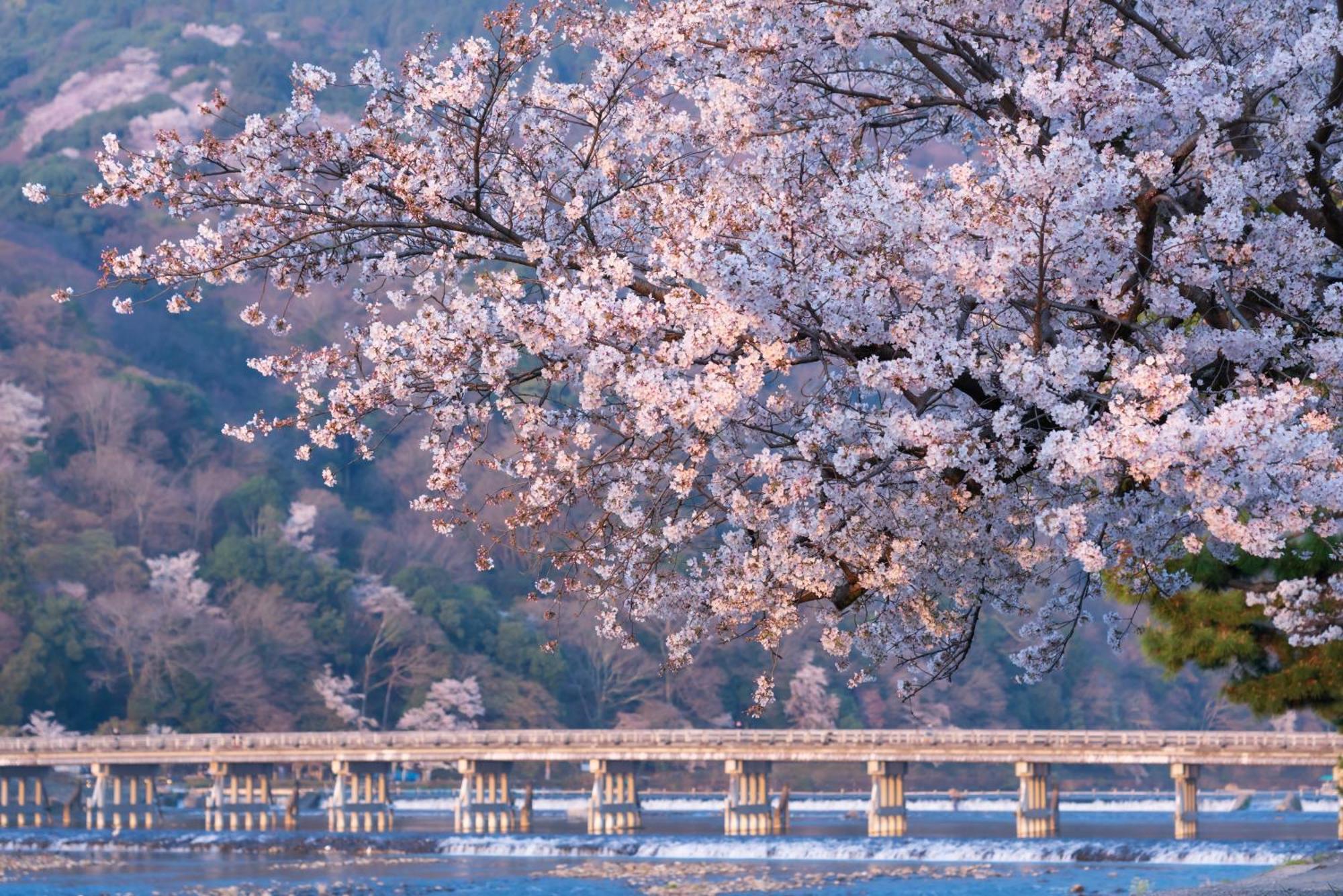 Tokyu Stay Kyoto Sanjo-Karasuma Eksteriør bilde